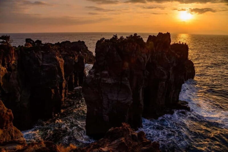 Private Tour : Izu Peninsula Day Trip with Cable Car Ride - Authentic Insights from Past Travelers