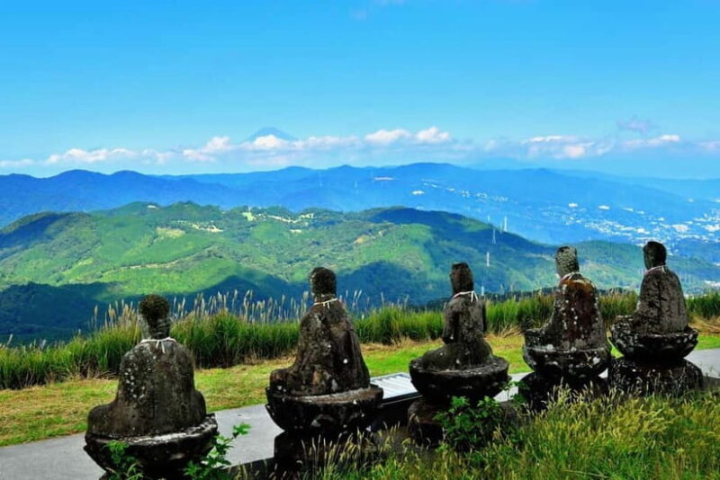Private Tour : Izu Peninsula Day Trip with Cable Car Ride - The Bottom Line