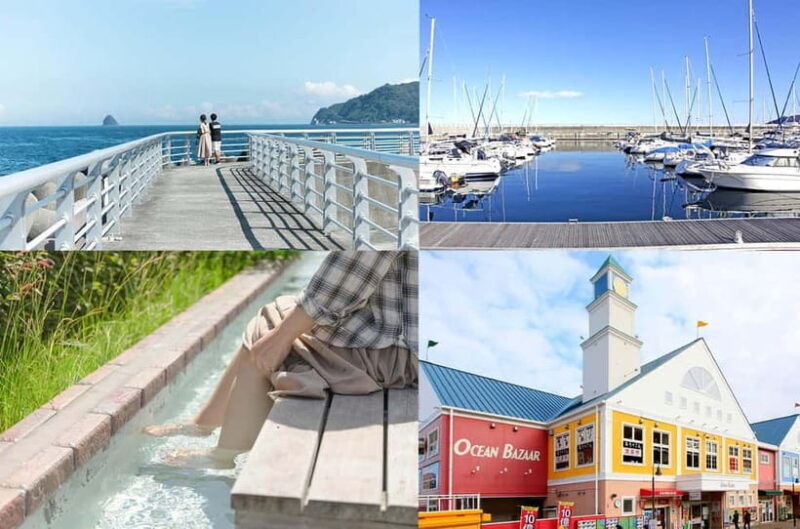 Private Tour : Izu Peninsula Day Trip with Cable Car Ride - Good To Know