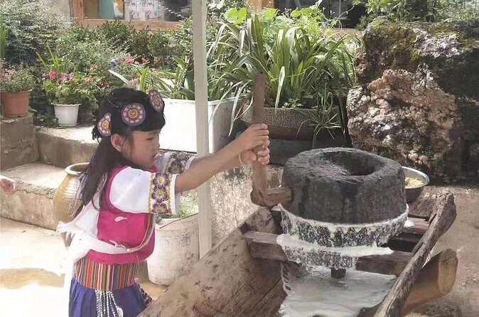 Private Tour: Jade Dragon Snow Mountain and Yuhu Village from Lijiang - The Sum Up: Who Should Book This Tour?