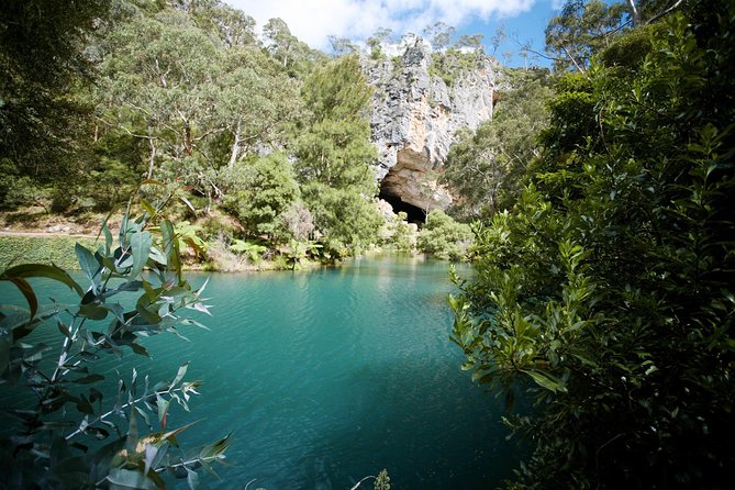 Private Tour: Jenolan Caves & Blue Mountains in a Day - Reviews and Ratings
