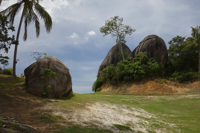 Private Tour Jungle Safari From Koh Samui - The Sum Up