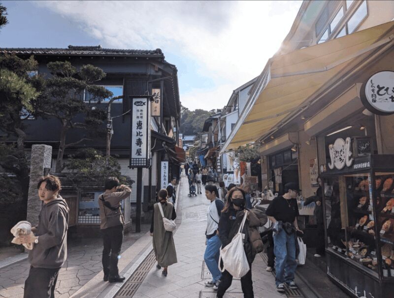 Private tour Kamakura and Enoshima w/ Spanish speaking guide - Good To Know