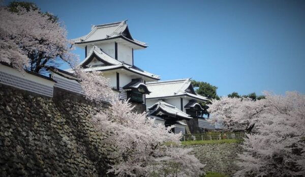 Private Tour Kanazawa: Gold Leaf, Sushi & Afternoon Activity - Additional Inclusions