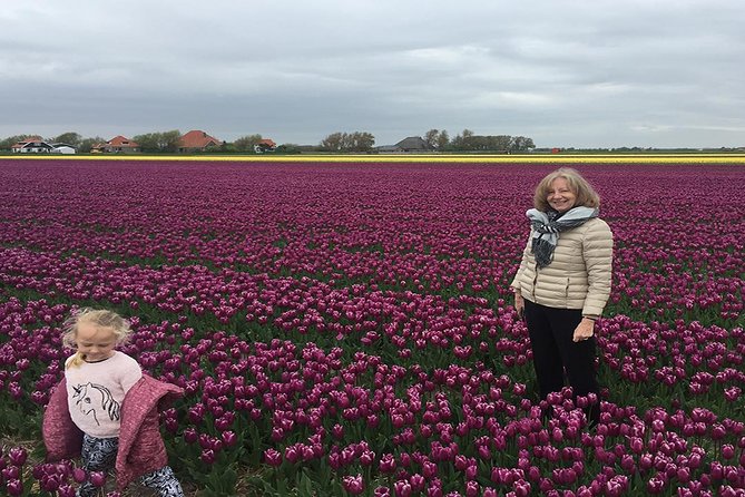 Private Tour Keukenhof Tulip Fields of Holland - Itinerary and Activities