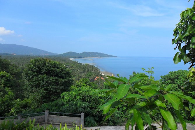 Private Tour Koh Samui - Contact and Support