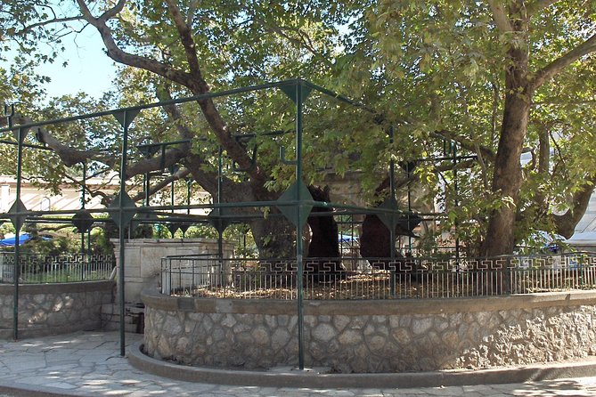 Private Tour: Kos Island Villages and Wine Tasting - Additional Tour Information