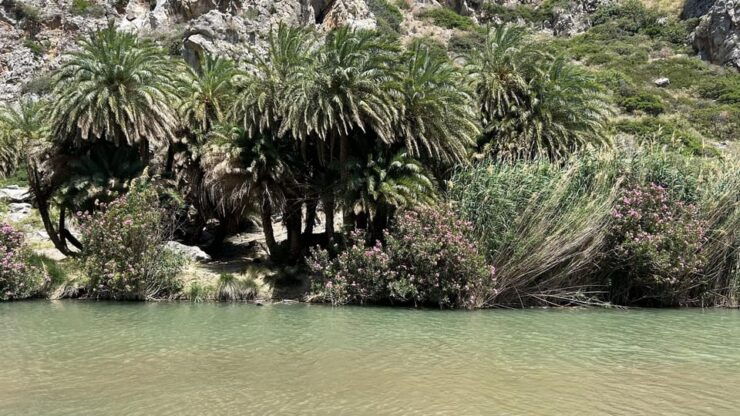 Private Tour Kourtaliotiko Gorge+Preveli Beach /Chania - Good To Know