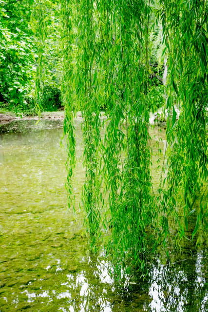 Private Tour Krka Waterfalls and Wine Tasting - Krka National Park Features