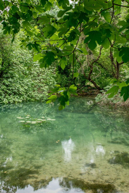Private Tour Krka Waterfalls and Wine Tasting - Visitor Information and Recommendations