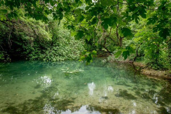 Private Tour Krka Waterfalls and Wine Tasting - Private Tour Details