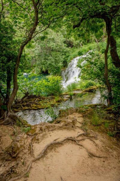 Private Tour Krka Waterfalls and Wine Tasting - Transportation and Logistics