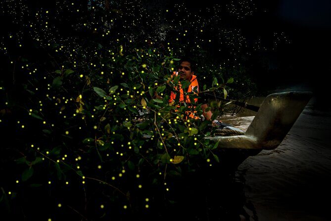 Private Tour Kuala Selangor Fireflies include Seafood Dinner *26* - Final Thoughts