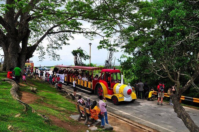 Private Tour Kuala Selangor Fireflies include Seafood Dinner *26* - FAQ