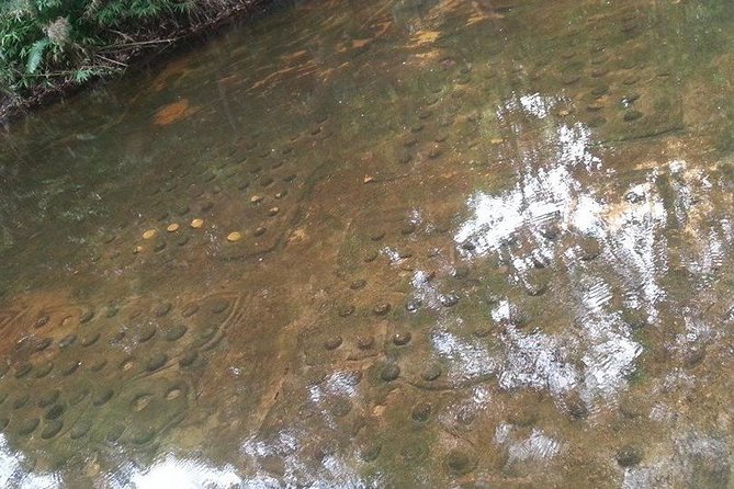 Private Tour: Kulen Mountain Day Trip Including Hidden Temple From Siem Reap - Reviews