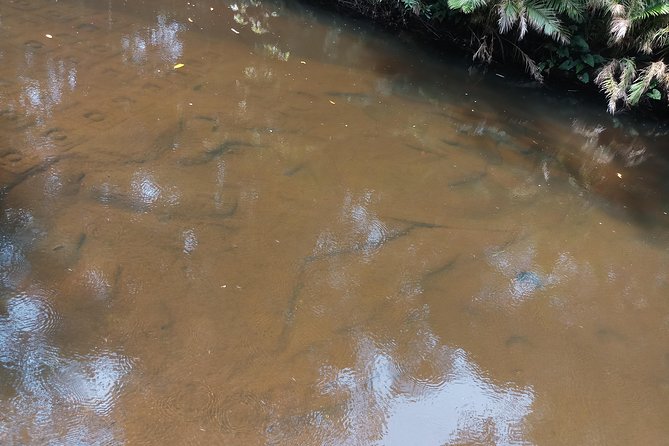 Private Tour: Kulen Mountain Day Trip Including Hidden Temple From Siem Reap - Directions