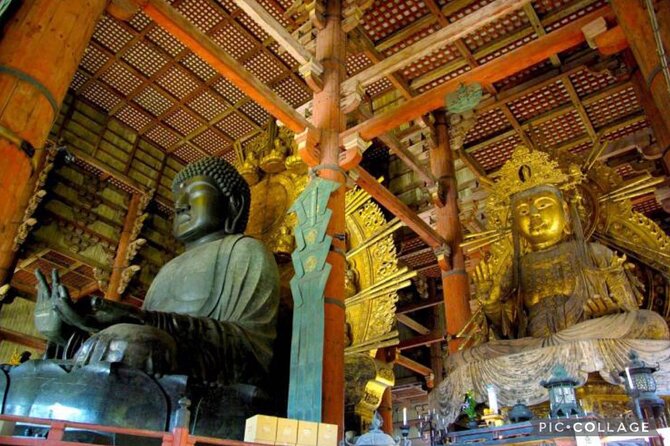 Private Tour Kyoto-Nara W/Hotel Pick up & Drop off From Kyoto - Tour Highlights