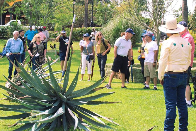 Private Tour La Fortaleza Distillery and Visit to Tequila - Viator Help Center