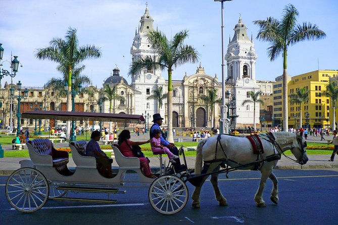 Private Tour: Lima City Sightseeing and Magic Water Circuit - Tour Highlights