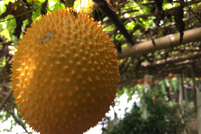 Private Tour : Local Living at Mahasawat Canal - Questions and Contact Information