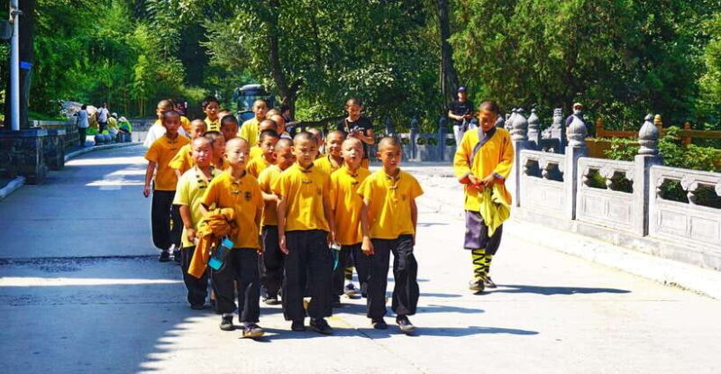 Private Tour: Longmen Grottoes, Shaolin Temple & Kungfu Show - In-Depth Look at the Itinerary and Experience