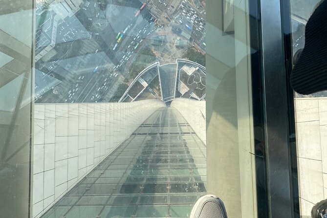 Private Tour Lotte World,Tower,Aquarium(All Tickets Are Included) - Pricing Options and Considerations