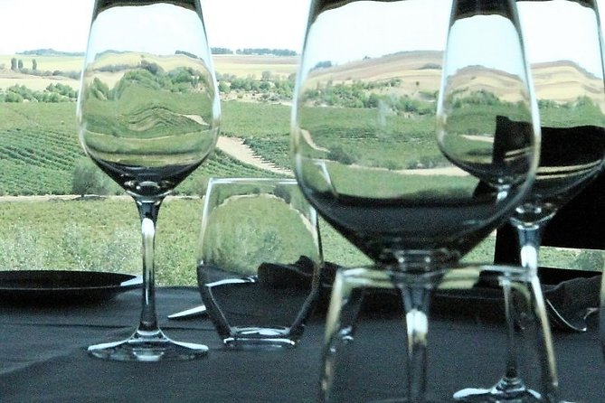 PRIVATE TOUR -Madrid Wineries Day Tou With Hotel Pickup and Lunch - Authentic and Memorable Experience