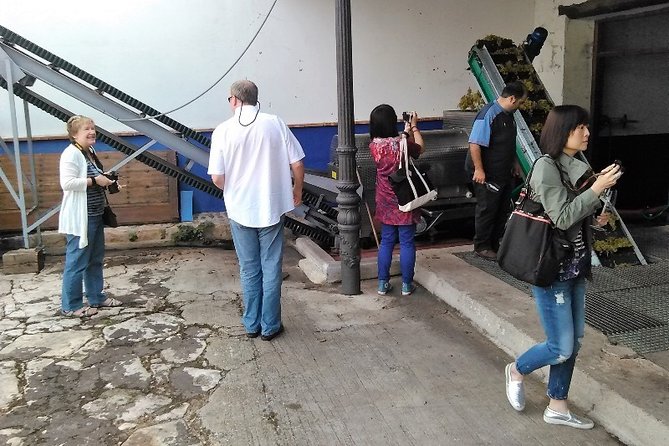 PRIVATE TOUR -Madrid Wineries Day Tou With Hotel Pickup and Lunch - The Sum Up