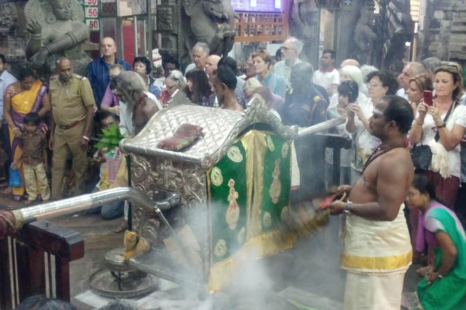 Private Tour: Madurai Meenakshi Amman Temple Night Ceremony - What to Expect