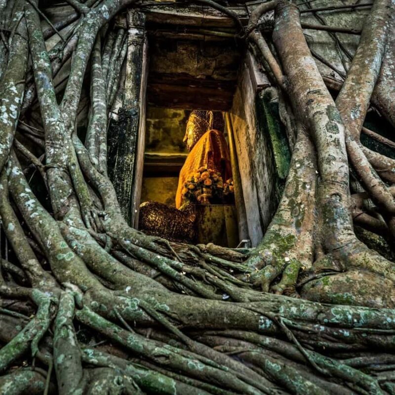 Private Tour Maeklong Railway,Floating Market, Wat Bangkung - Practical Details and What Sets This Tour Apart