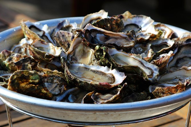 Private Tour: Mali Ston Day Trip With Oyster Tasting From Dubrovnik - The Sum Up