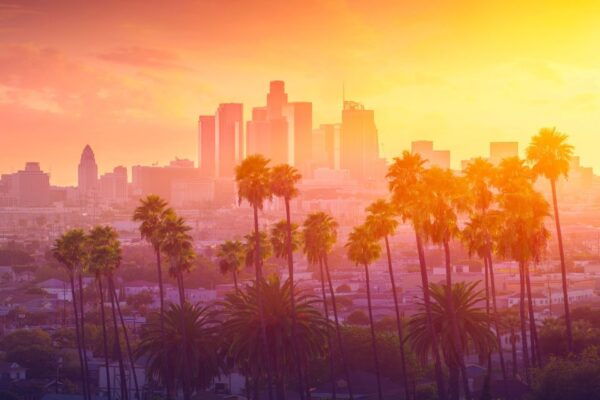 Private Tour Malibu Santa Monica Venice Iconic Beaches - Tips for a Memorable Experience