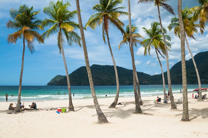 Private Tour Maracas Beach From Port of Spain - Itinerary Overview