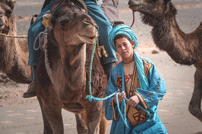 Private Tour: Marrakech Walking Tour and Camel Riding - Directions and Tips