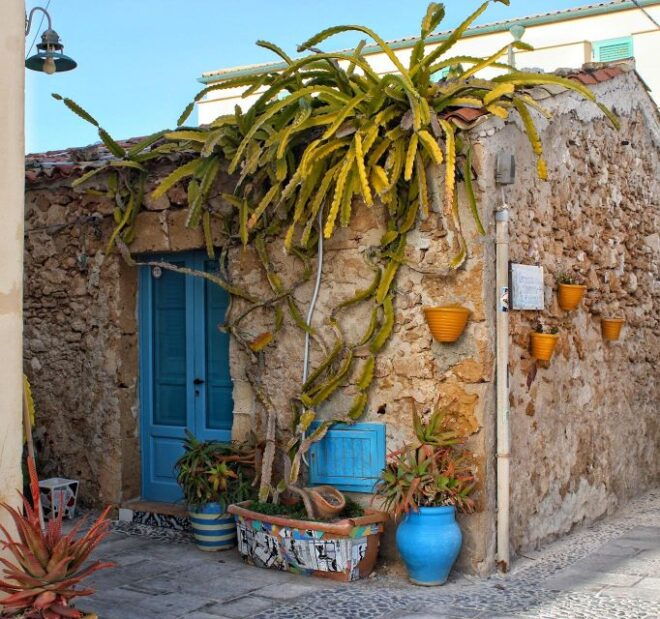 Private Tour Marzamemi and Natural Reserve Vendicari - Additional Information