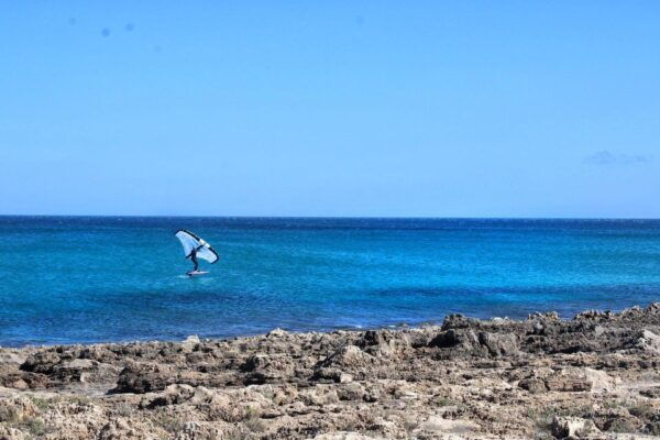 Private Tour Marzamemi and Natural Reserve Vendicari - The Sum Up