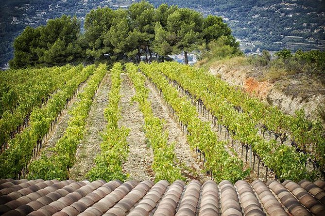 Private Tour, Medieval Saint Paul & Wine Tasting - (From Nice) - Pick-up Options and Duration