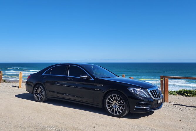Private Tour Melbourne to Adelaide via Great Ocean Road - Scenic Stops and Photo Opportunities