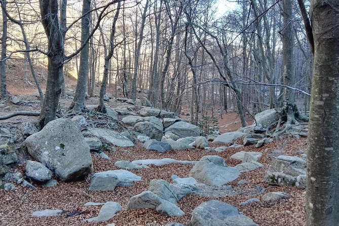 Private Tour Montseny Hiking From Barcelona - Customized Routes and Personalized Pace