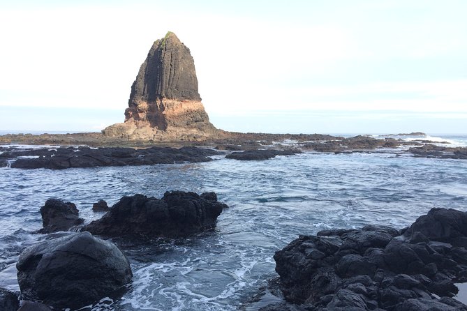 [Private Tour] Mornington Peninsula Family, Maze and Fun! - Common Questions