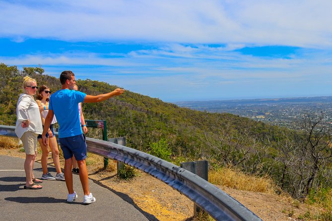 [PRIVATE TOUR] Mornington Peninsula Hot Springs Winery & Sightseeing Tour - Customer Reviews