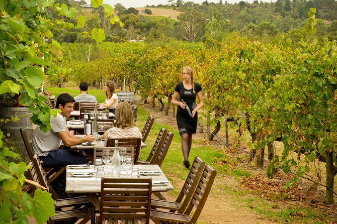 [PRIVATE TOUR] Mornington Peninsula Hot Springs Winery & Sightseeing Tour - Tour Details