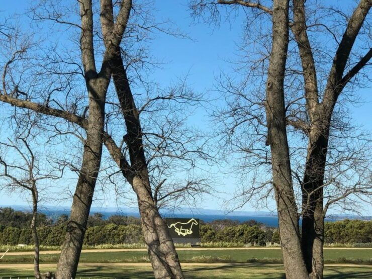 Private Tour: Mornington Peninsula Wine, Beer & Hotsprings - Good To Know