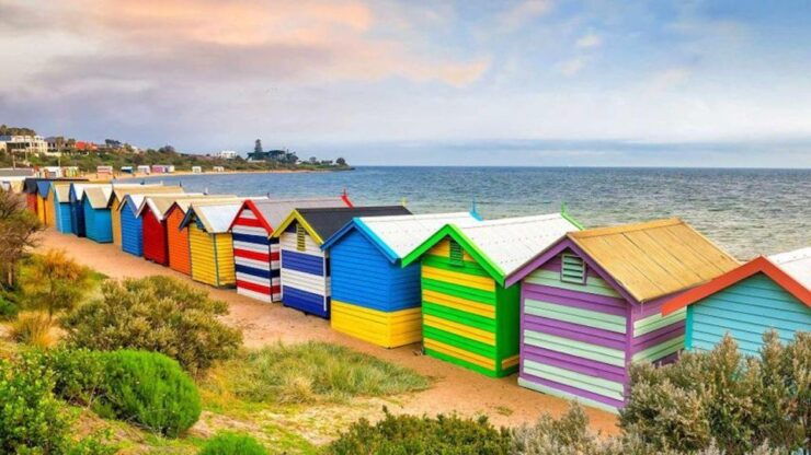 Private Tour: Mornington Peninsula Wine, Beer & Hotsprings - Experience Highlights