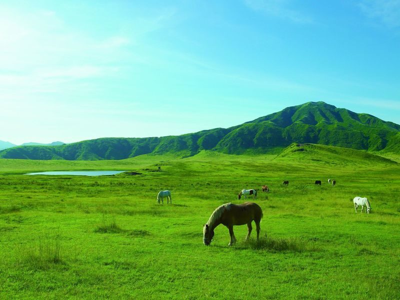 Private Tour: Mt.Aso and Takachiho All-inclusive tour From Kumamoto - Mount Aso: crater or volcano museum