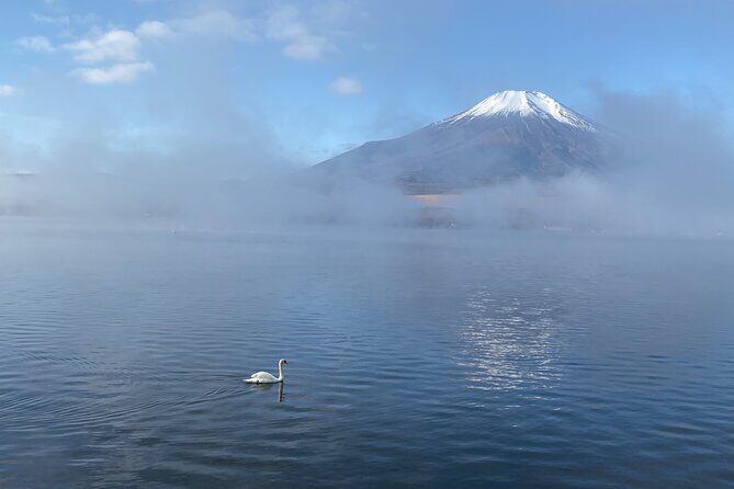 Private Tour Mt. Fuji Hakone Yokohama - Analyzing the Value: Is It Worth the Cost?