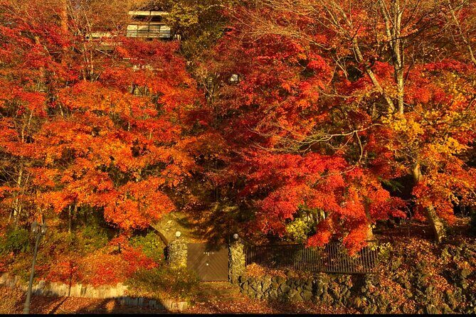 Private Tour Mt. Fuji Hakone Yokohama - Final Thoughts