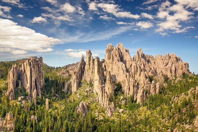Private Tour Mt Rushmore Crazy Horse and Custer State Park - Value and Practicality