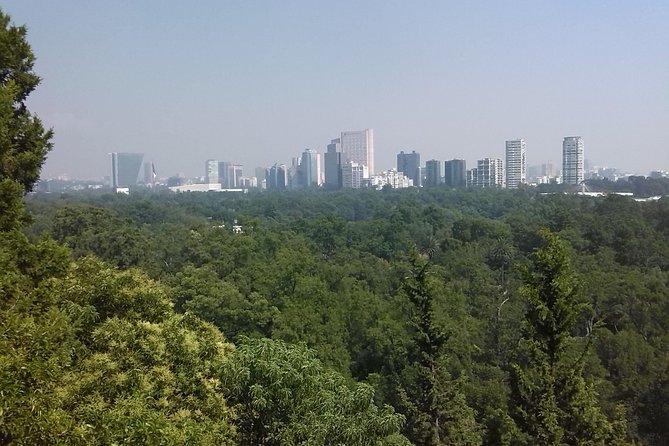 Private Tour Museum of Anthropology and Chapultepec Castle. - Museum of Anthropology and Chapultepec Castle Overview
