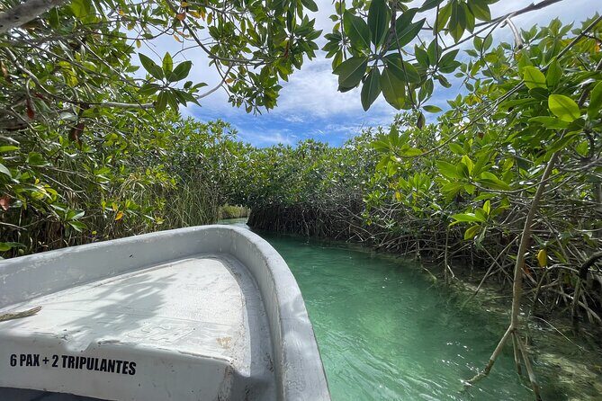 Private Tour Muyil Sian kaan Biosphere Slow Rivers Lunch - Who Should Consider This Tour?